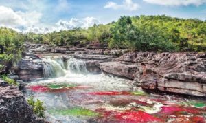 Top State Parks/Nature areas to Visit in Columbia